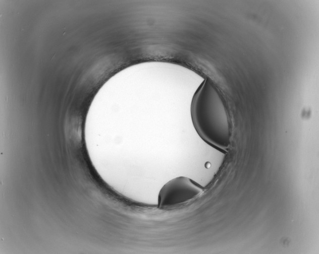 X0000093600021200711051208