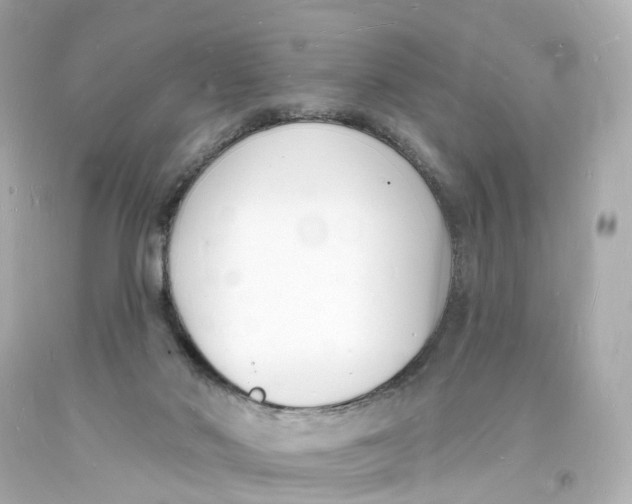 X0000093600022200711051208