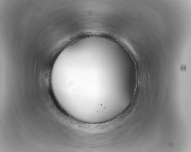 X0000093600023200711051208