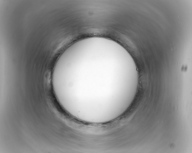 X0000093600024200711051208