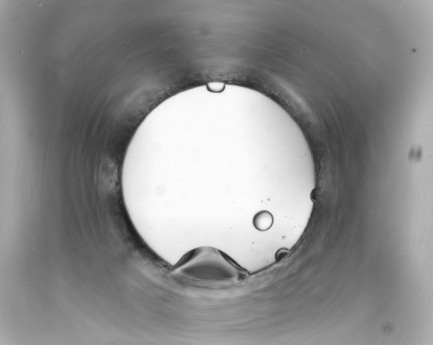 X0000093600025200711051207