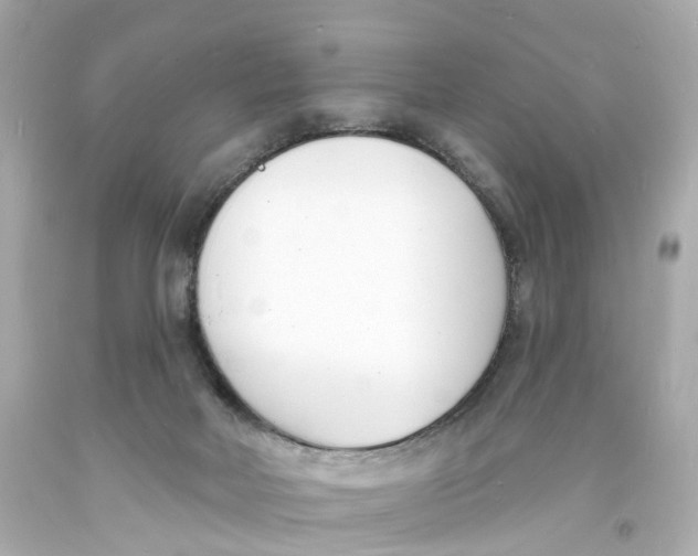 X0000093600026200711051207