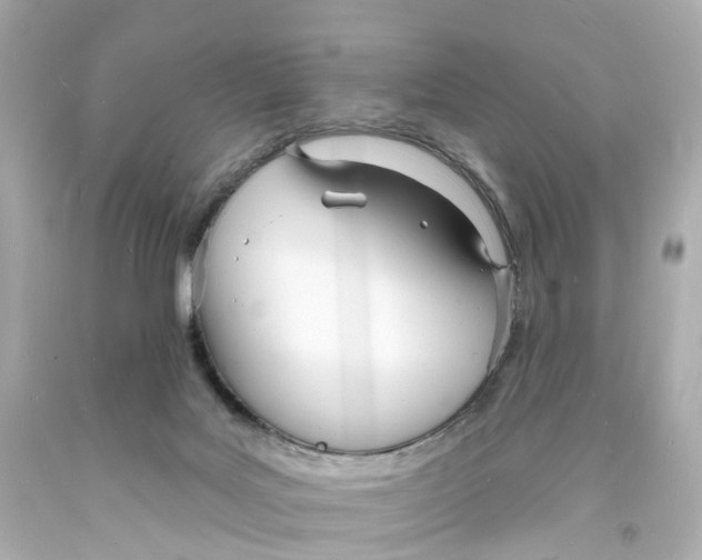 X0000093600027200711051207