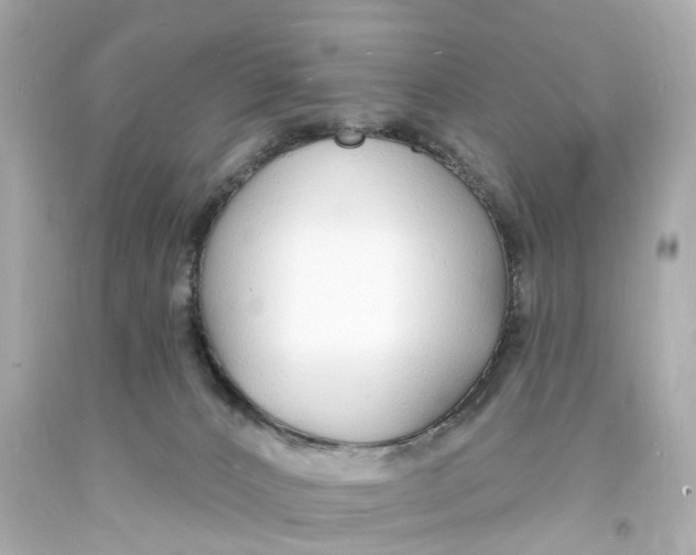 X0000093600032200711051207