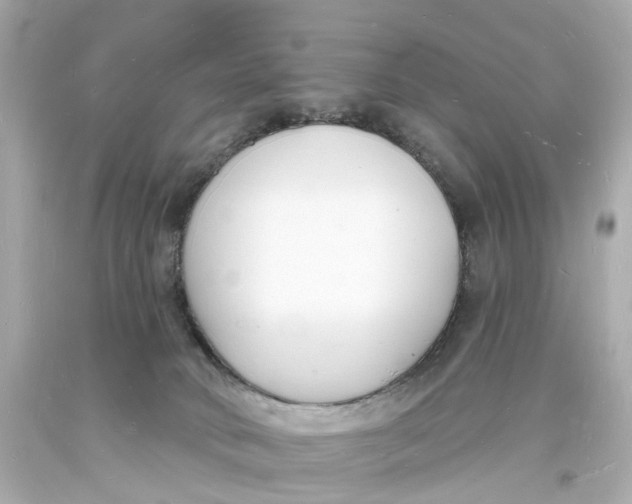 X0000093600034200711051207