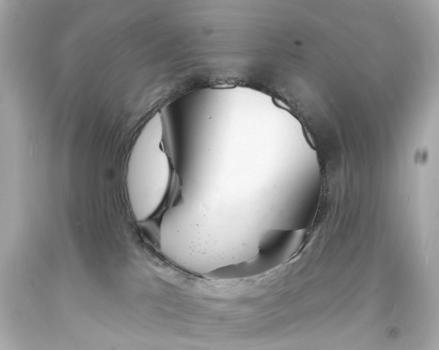 X0000093600041200711051207