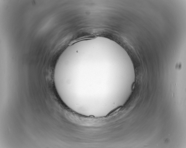 X0000093600044200711051207