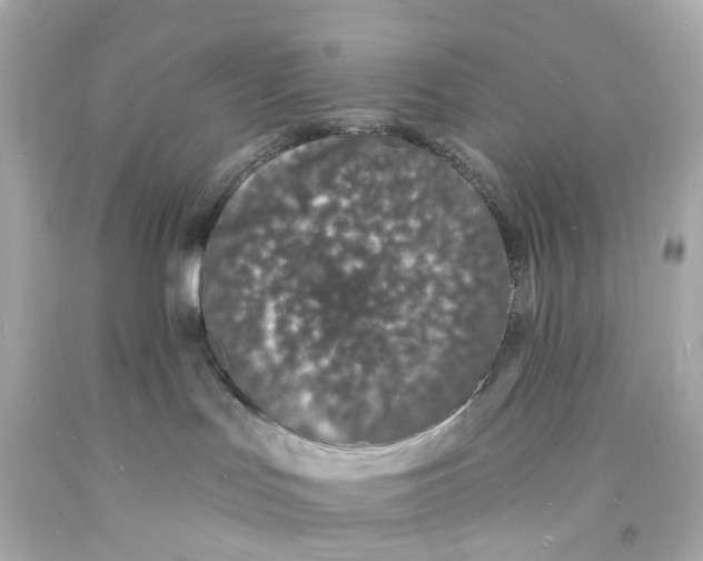 X0000093600047200711051207