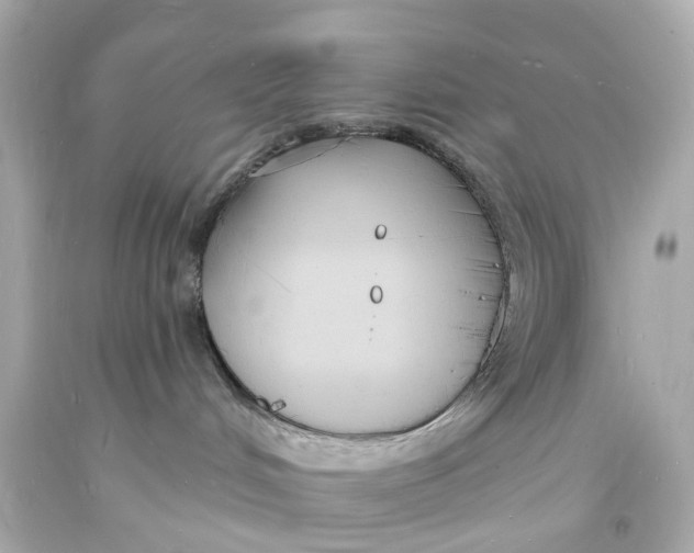 X0000093600048200711051207