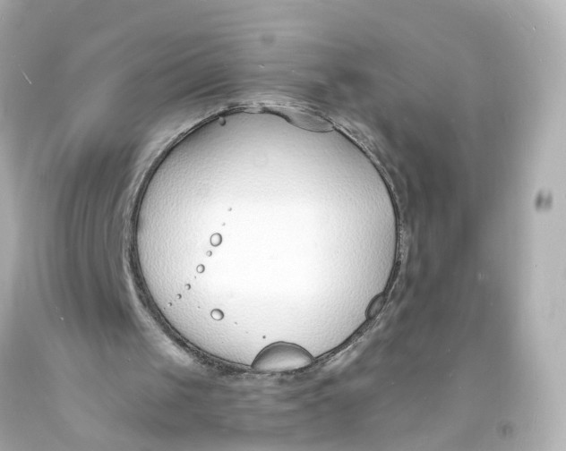 X0000093600049200711051206