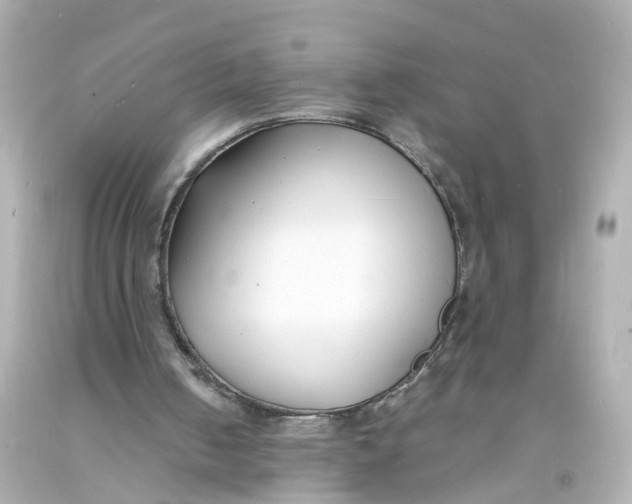 X0000093600050200711051206