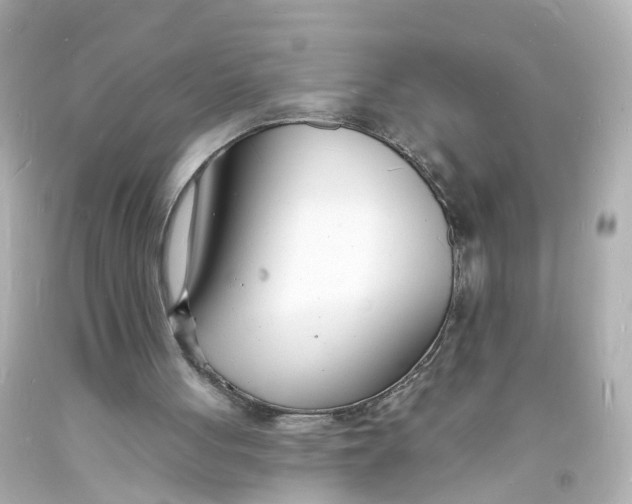 X0000093600051200711051206