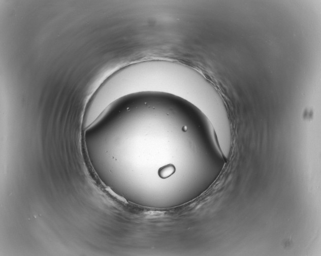 X0000093600052200711051206