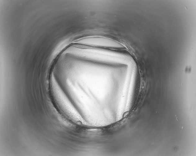 X0000093600053200711051206