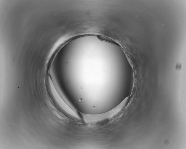 X0000093600056200711051207