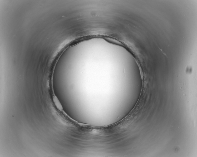 X0000093600060200711051207