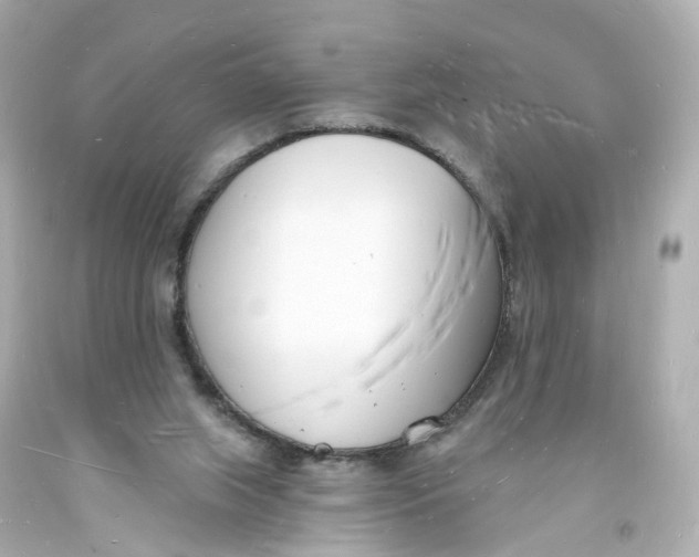 X0000093600063200711051207