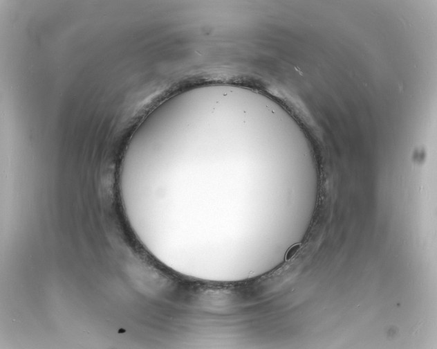 X0000093600066200711051207