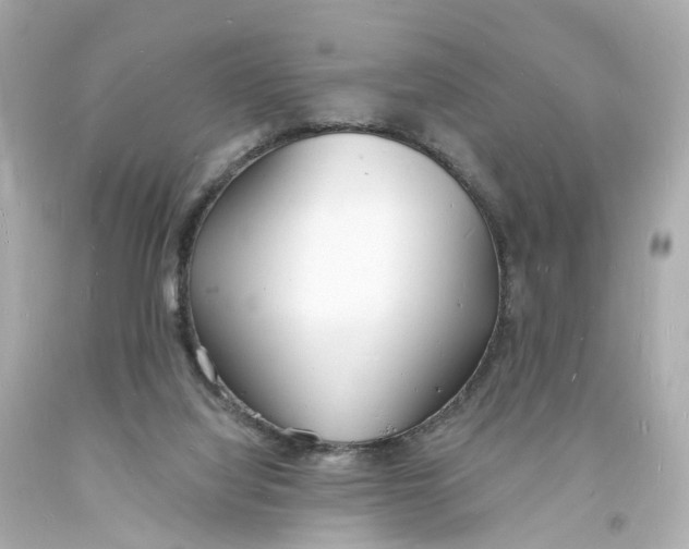 X0000093600068200711051207