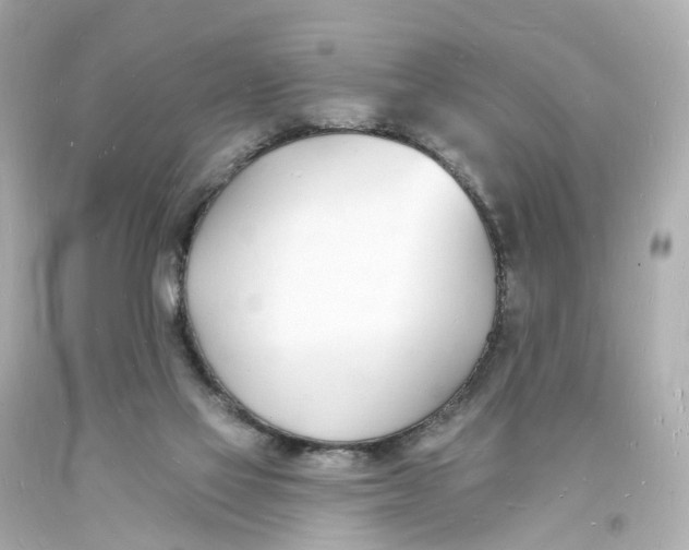 X0000093600069200711051207