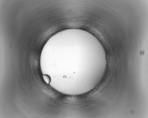 X0000093600071200711051207