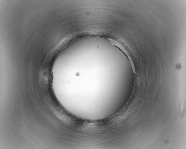 X0000093600072200711051207