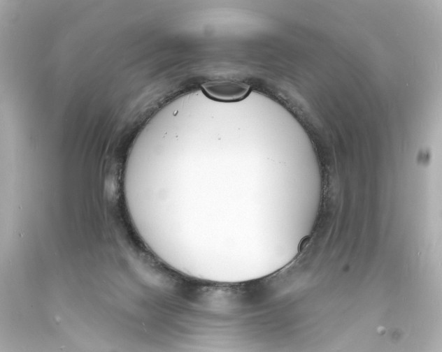 X0000093600074200711051207