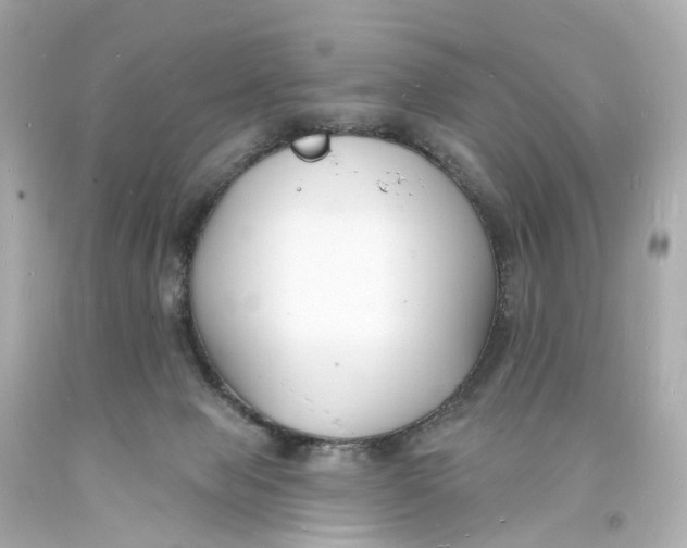 X0000093600077200711051207