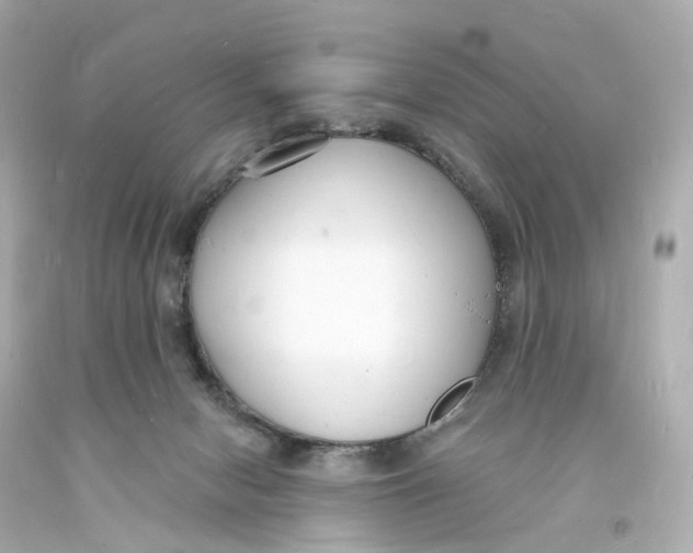 X0000093600078200711051207