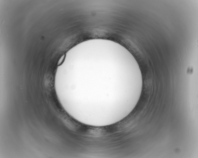 X0000093600079200711051207