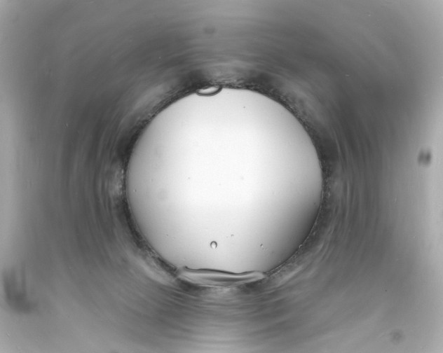 X0000093600081200711051207