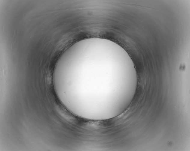 X0000093600086200711051207