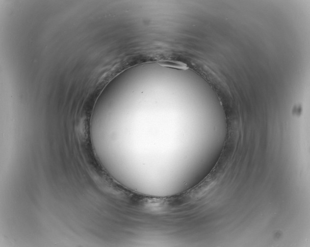 X0000093600088200711051207