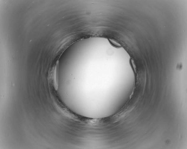 X0000093600092200711051207