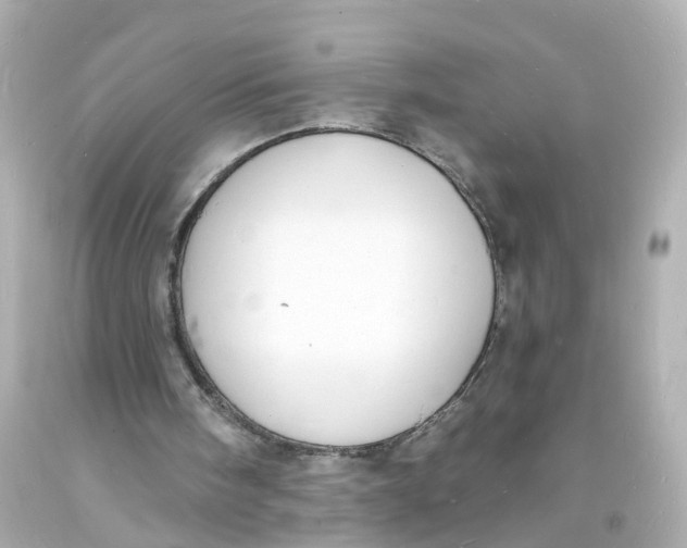 X0000093600098200711051206