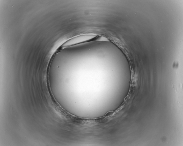 X0000093600099200711051206