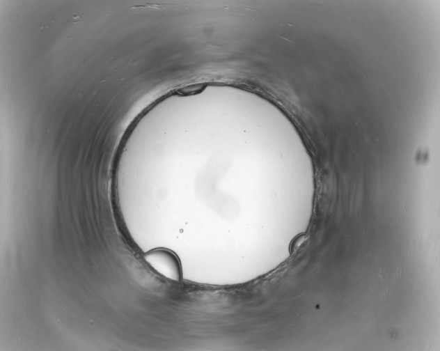 X0000093600100200711051206