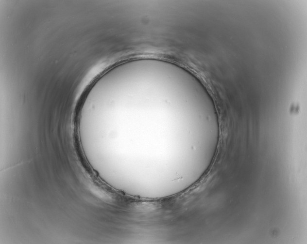 X0000093600102200711051206