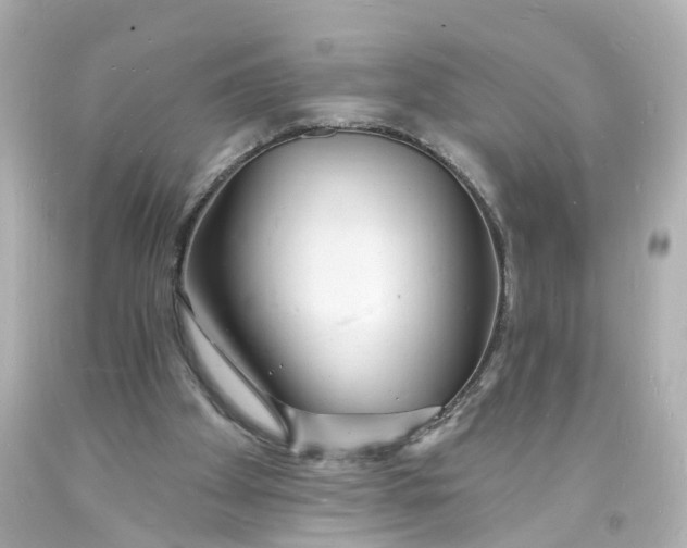 X0000093600105200711051206