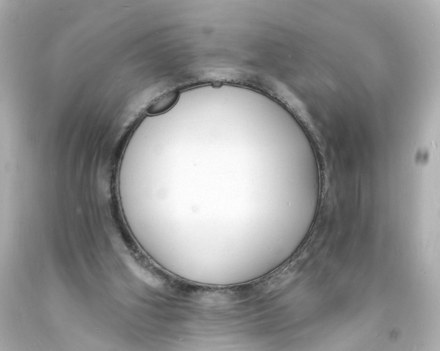 X0000093600106200711051206