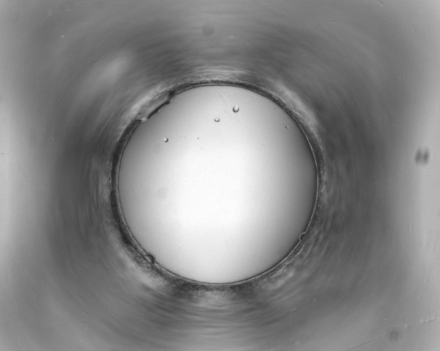 X0000093600107200711051206