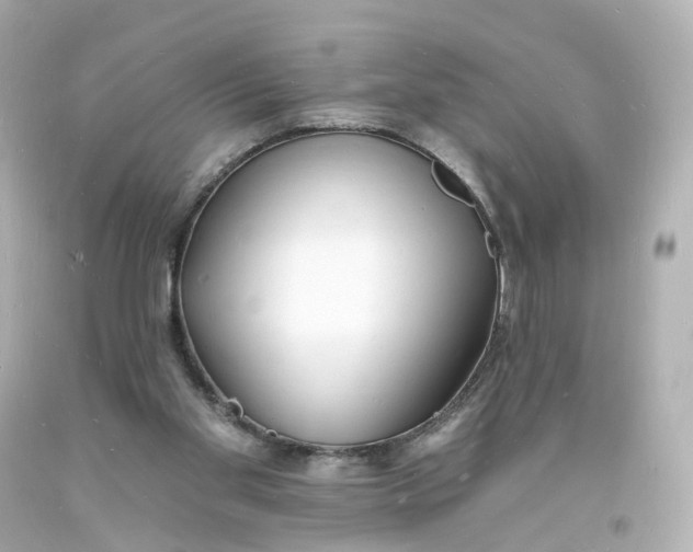 X0000093600109200711051206