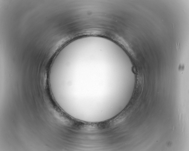 X0000093600110200711051206