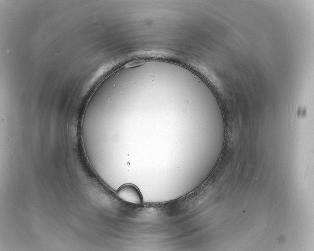 X0000093600111200711051206