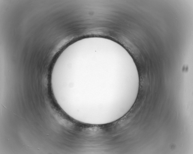 X0000093600112200711051206