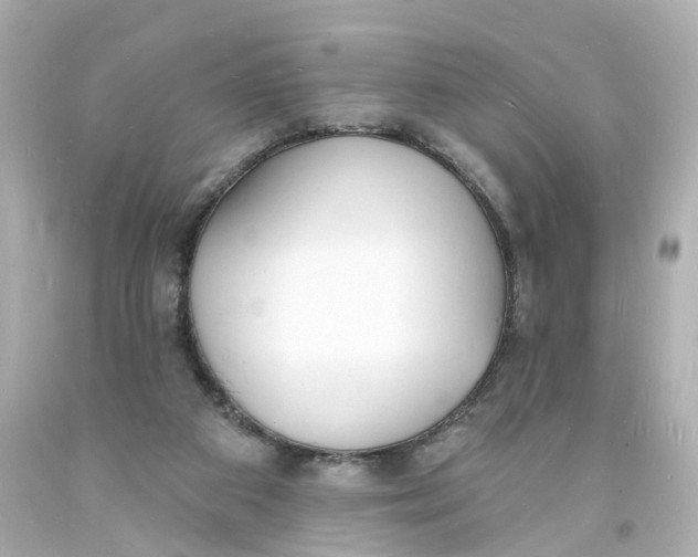 X0000093600113200711051206