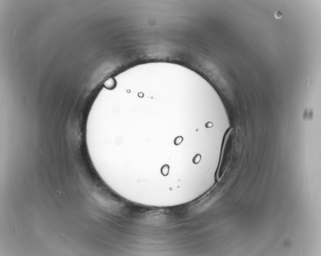 X0000093600116200711051206