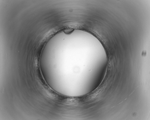 X0000093600117200711051206