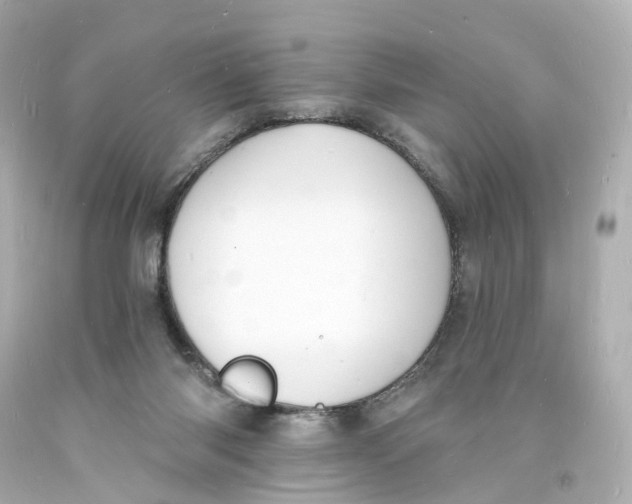 X0000093600118200711051206