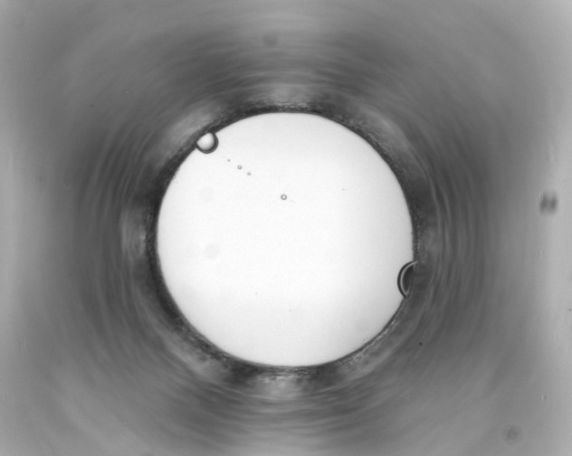 X0000093600120200711051206